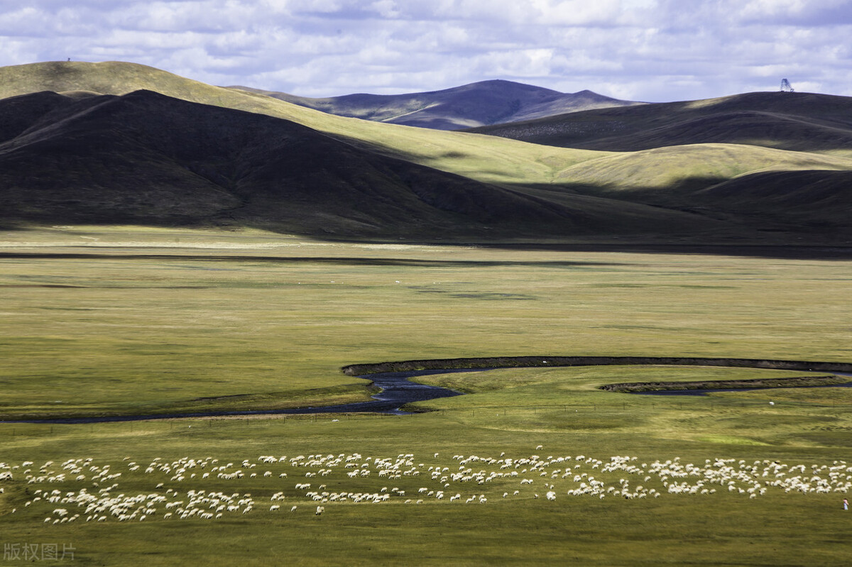 胃痛胃胀中药调理,胃胀胃痛一般吃几副中药有效果
