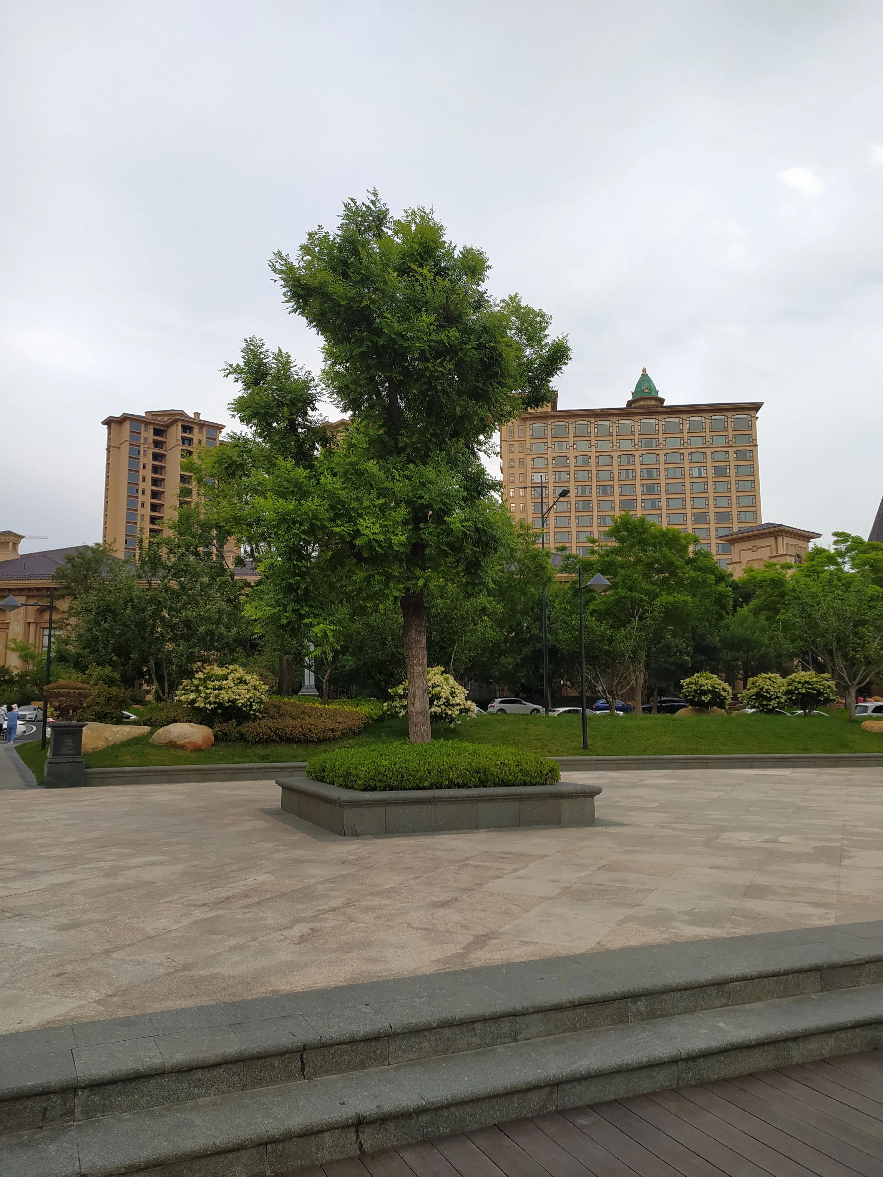 青岛星河湾大平层,青岛市北星河湾