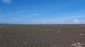 晋江哪个片区最好,晋江发展最快的镇