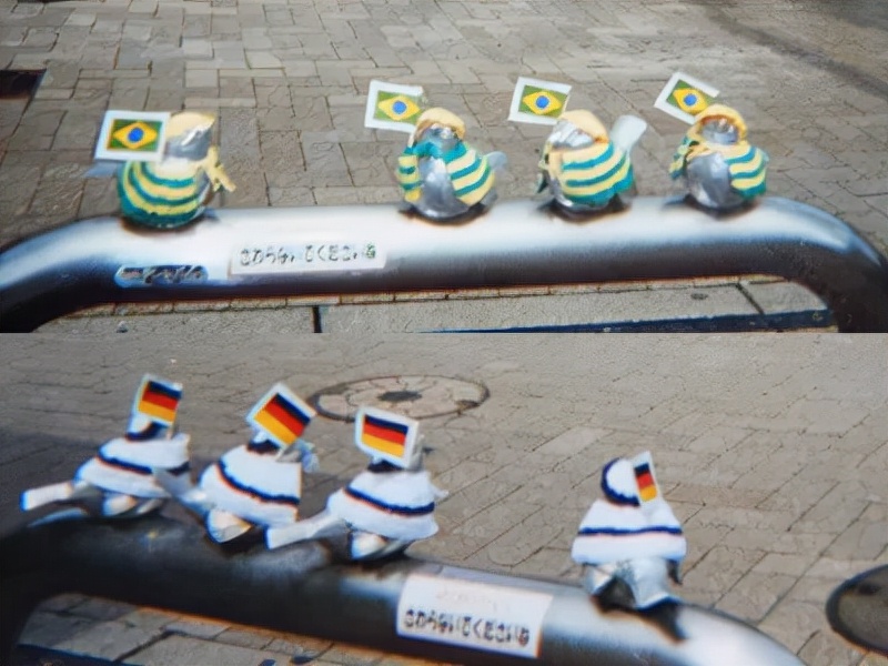 害怕小鸟受凉，有人悄悄为它们织了22年的毛衣