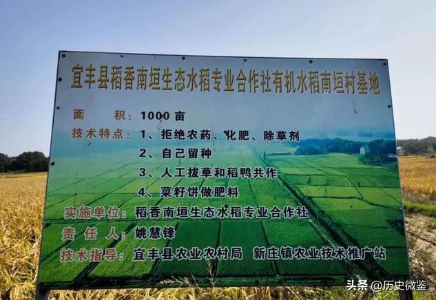 放弃百万年薪回农村种地,放弃30万年薪回农村