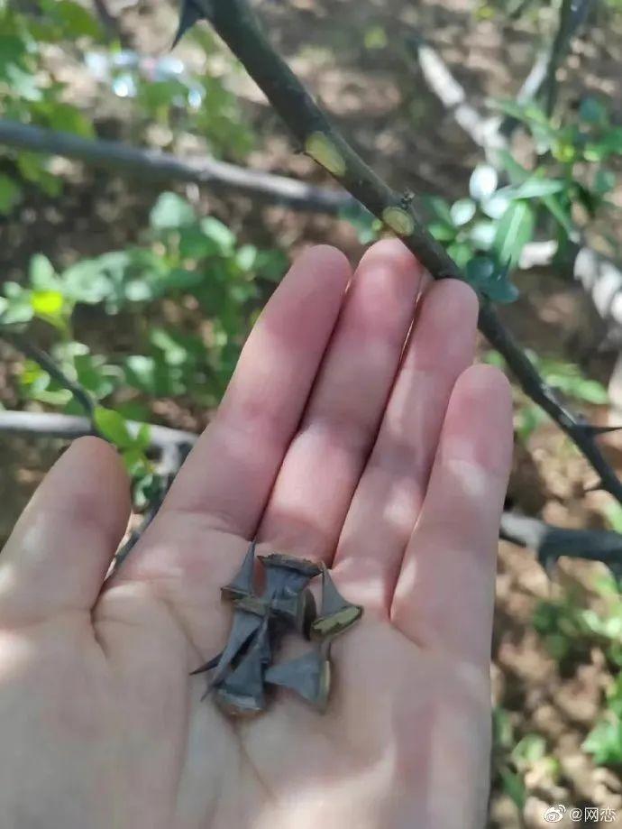 每日一笑最新段子,段子每日一笑