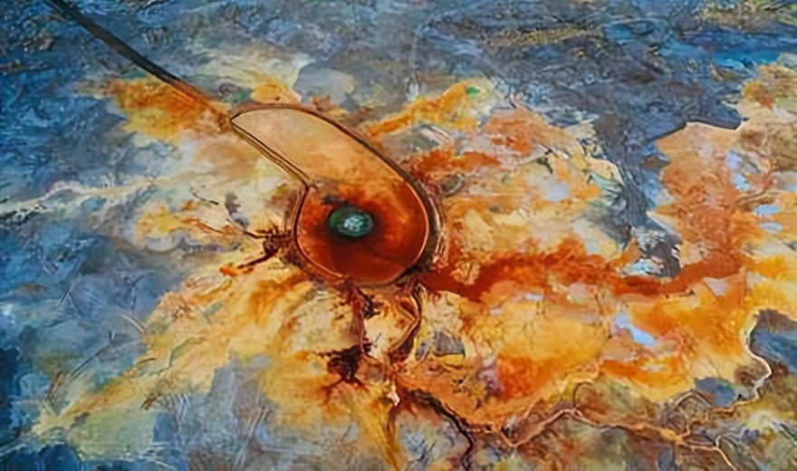 柴达木怪湖之谜,青海湖恶魔之眼为什么吸引动物