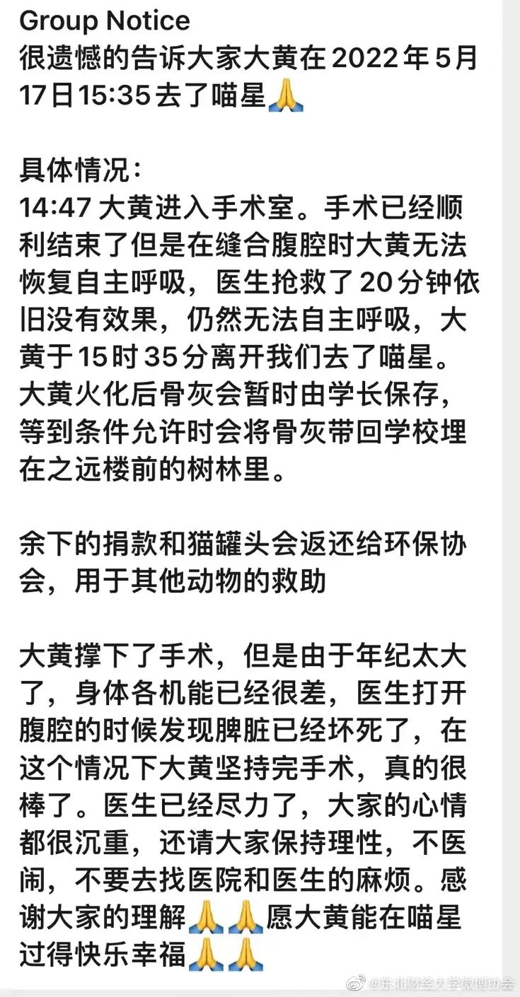 东北财经大学发讣告,东北财经大学为猫发讣告