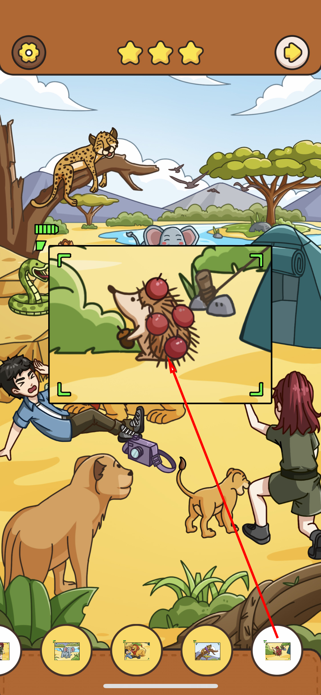 我眼神儿贼好！重返非洲攻略