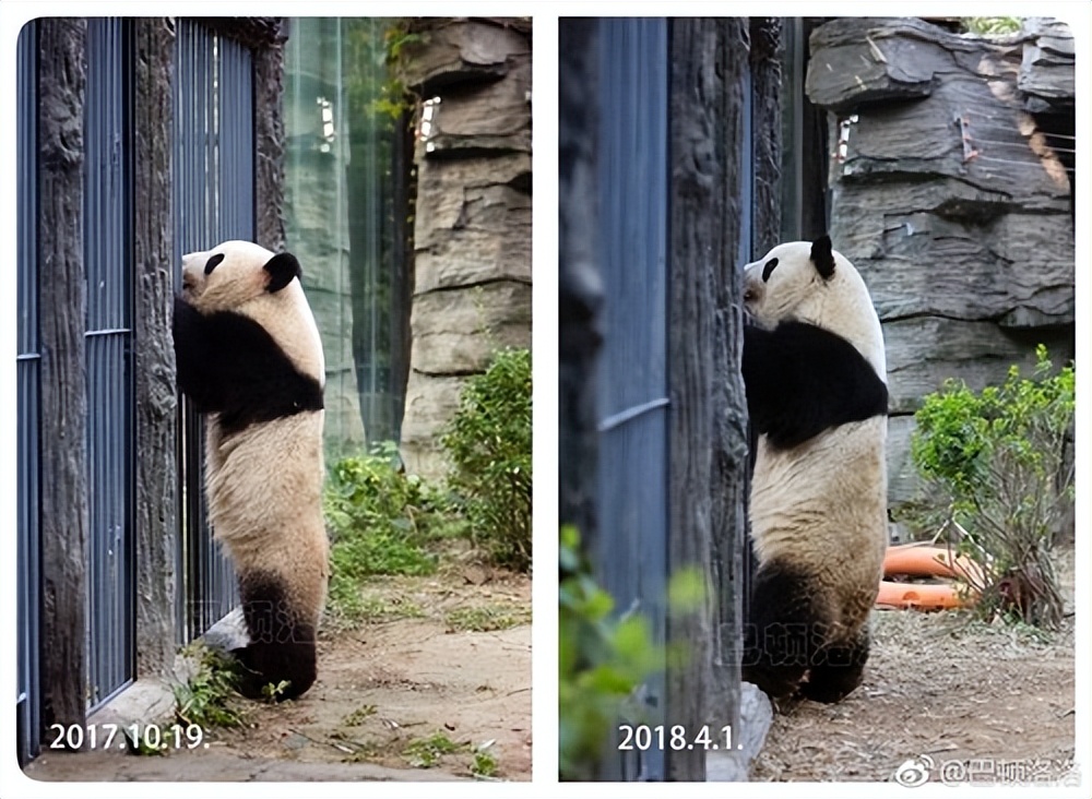 中国十大顶流女明星,顶流女明星穿越电视剧
