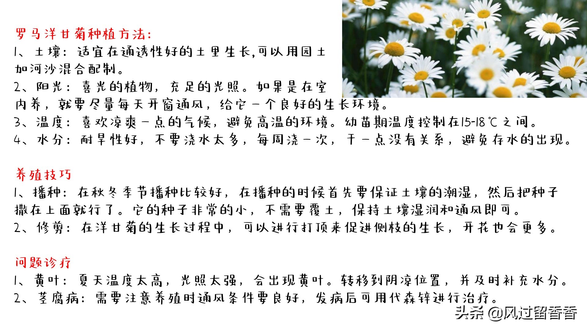 阳台养花教程推荐,阳台养花教程新手入门