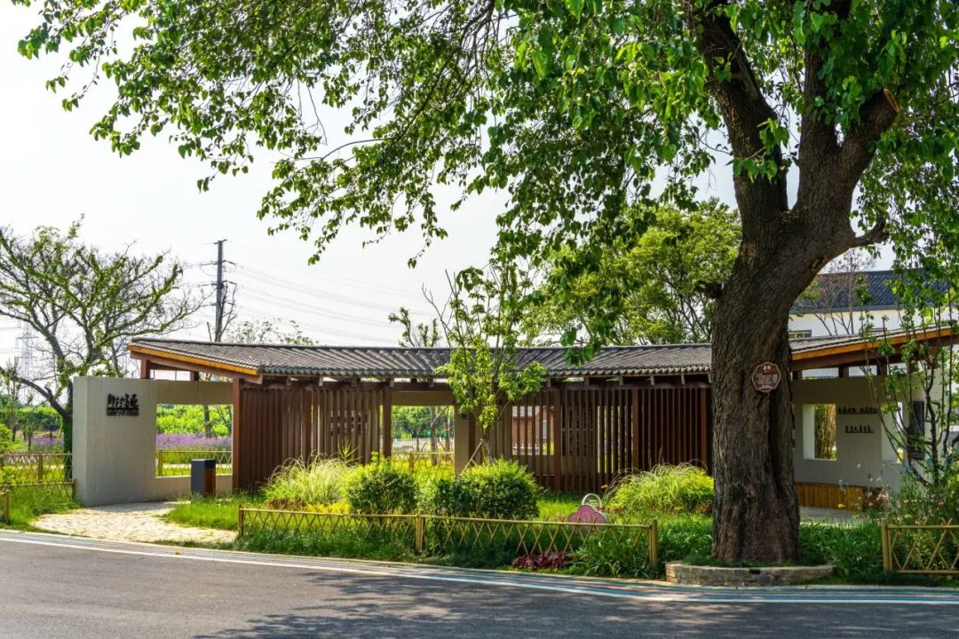 江苏省特色田园乡村名单公布,省级特色田园乡村标准