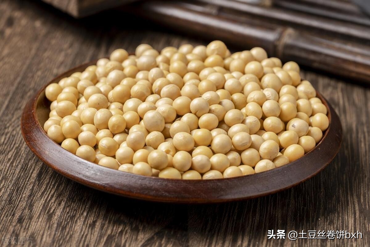 二阳了能吃什么东西补充营养,二阳为啥要多吃高蛋白的食物