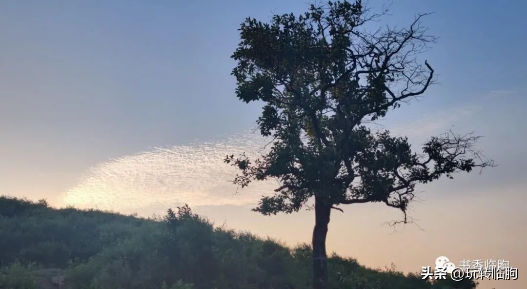 姥娘家的院子,姥娘家