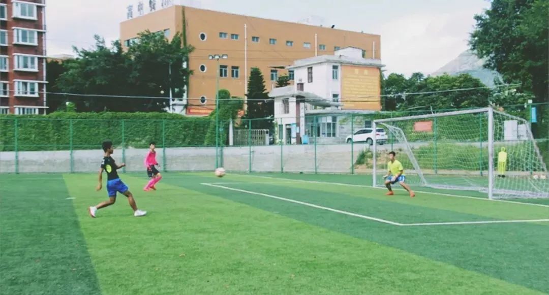 全国青少年校园足球联赛2024校园,全国青少年校园足球联赛东南赛区