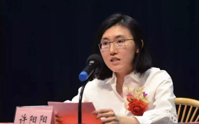 达利集团许世辉,达利集团董事长许世辉