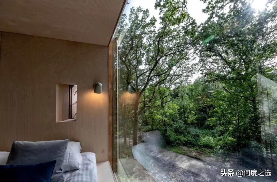 森林里的“树屋”：丹麦森林中建造的酒店，美到让人窒息