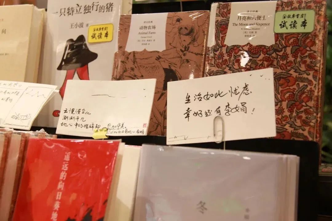 11月最值得看的10本好书,6本值得一看的好书