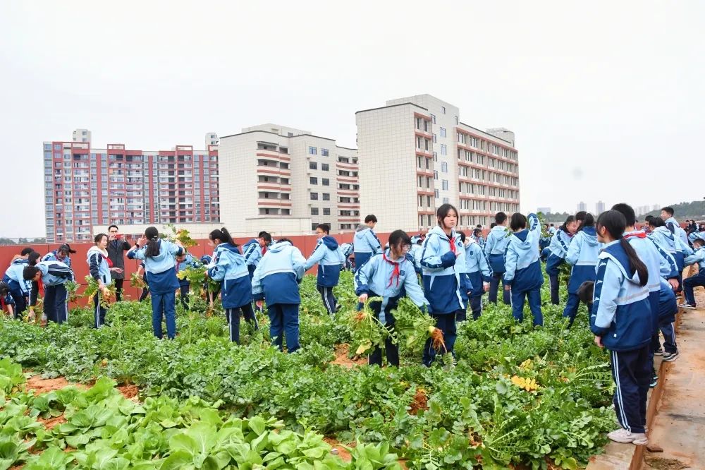 天易中学初中招生简章,天易高级中学在哪里