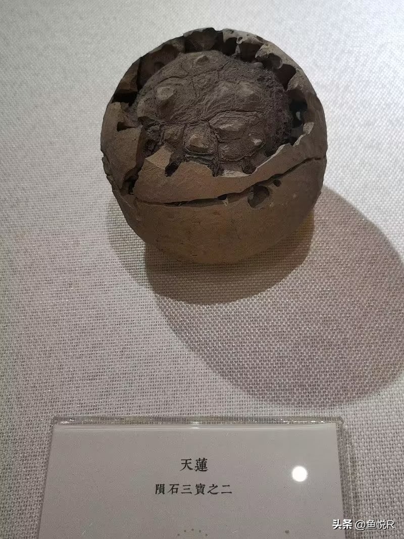 大暑到哪儿玩,大暑天气出来旅游