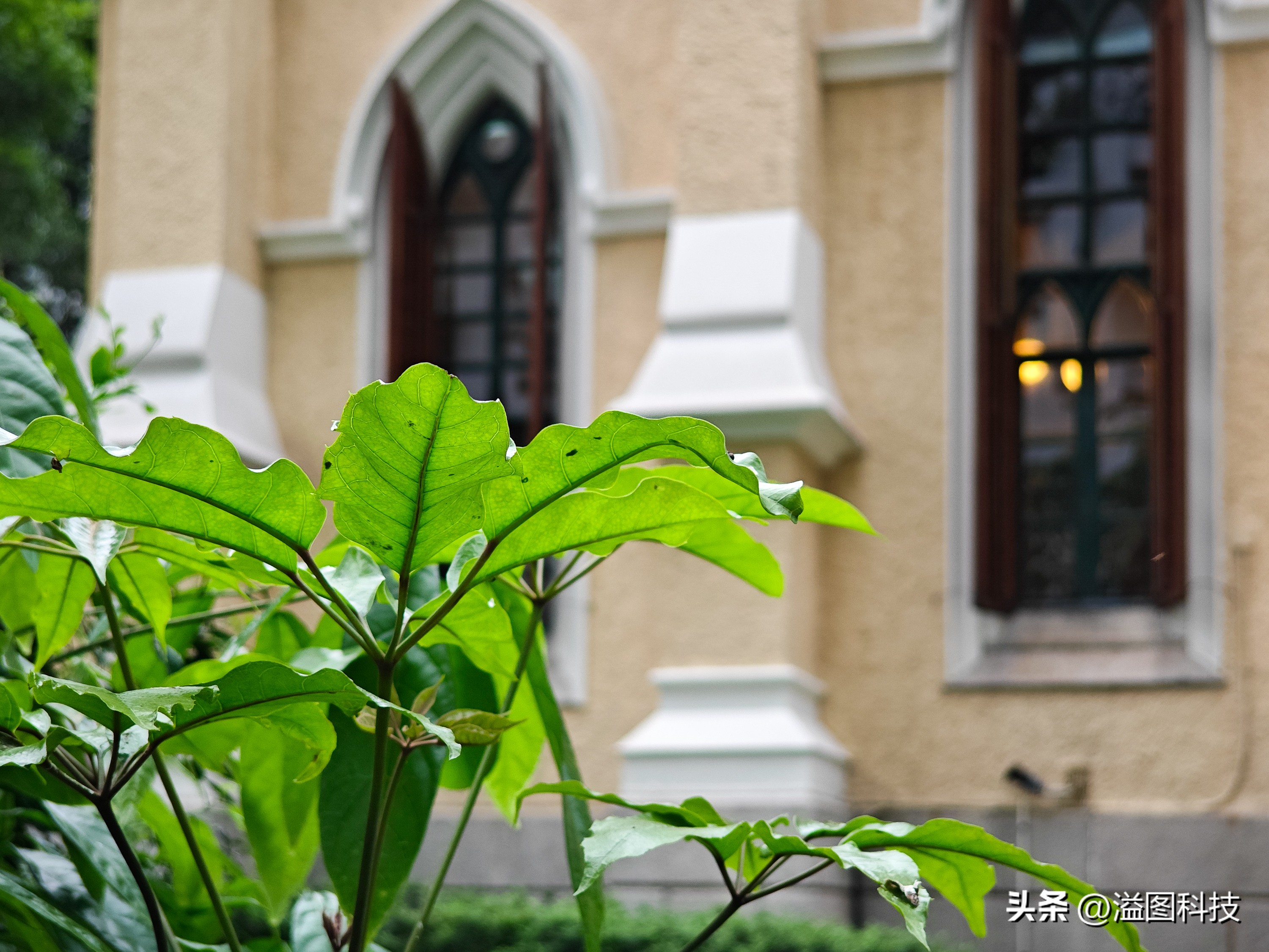 小米13Ultra影像功能深度介绍,实战篇