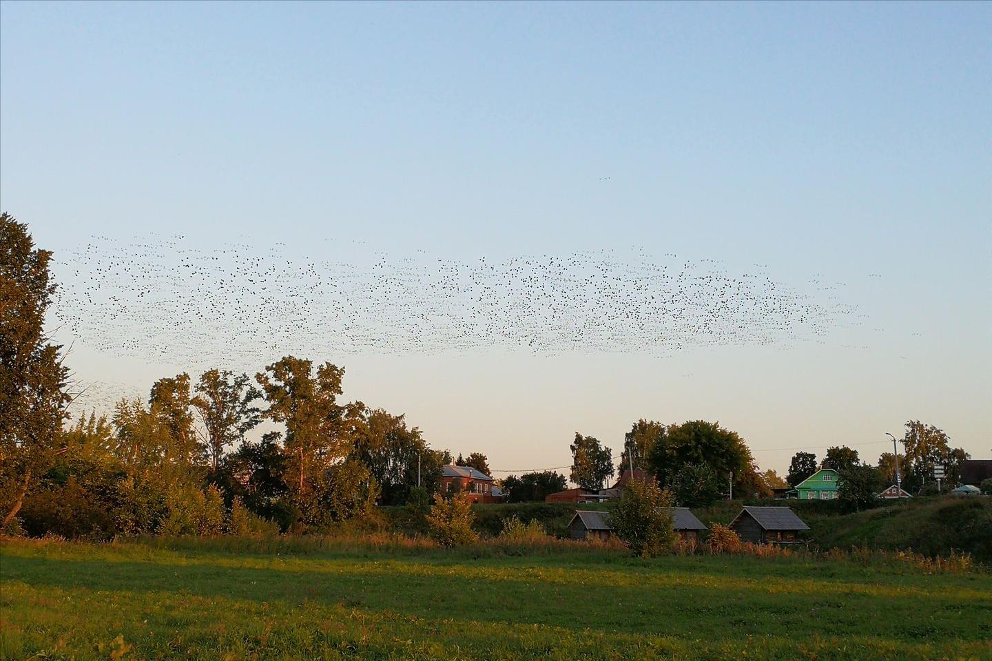 50张图片长见识,32张照片看真实的俄罗斯