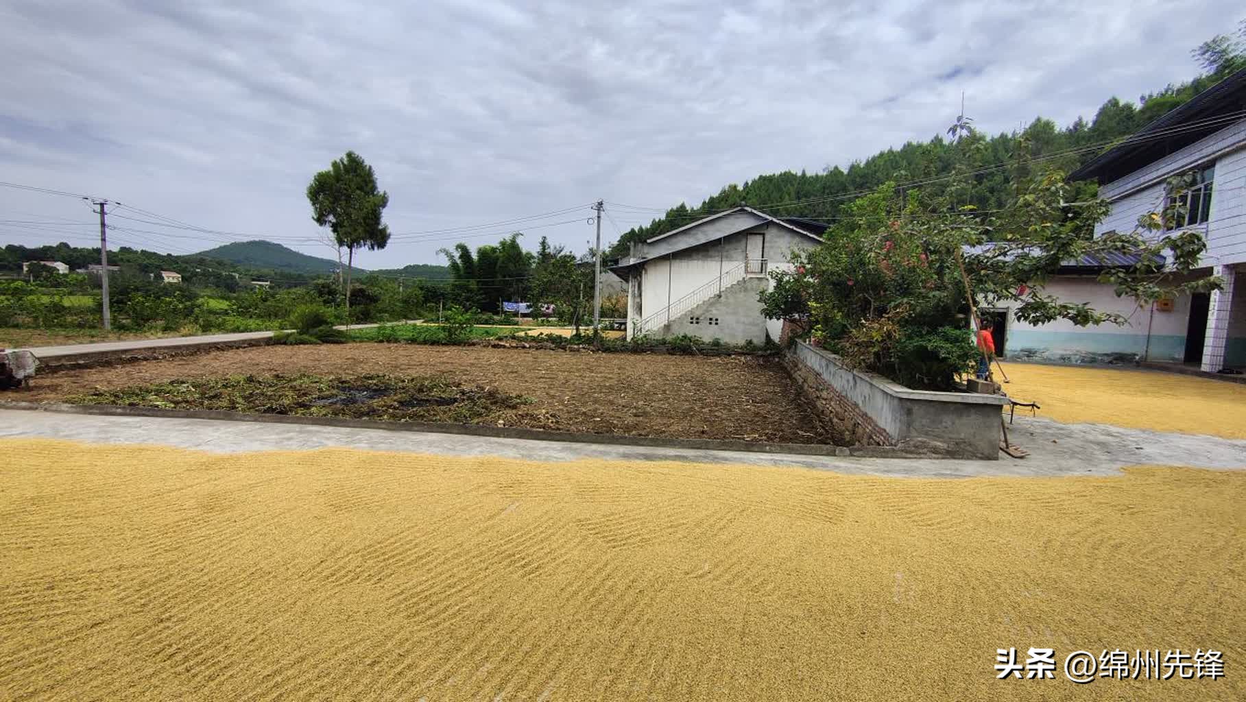 绵阳全省乡村振兴先进市,绵阳特色乡村振兴之路