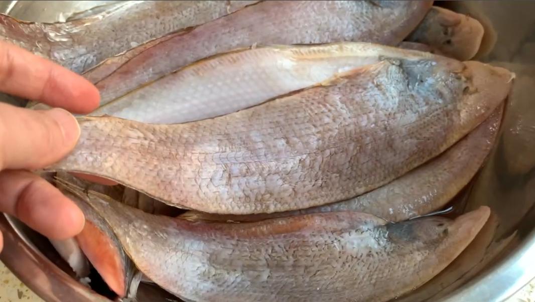 我国公认最好吃的5种鱼,十种最好吃的鱼有哪些