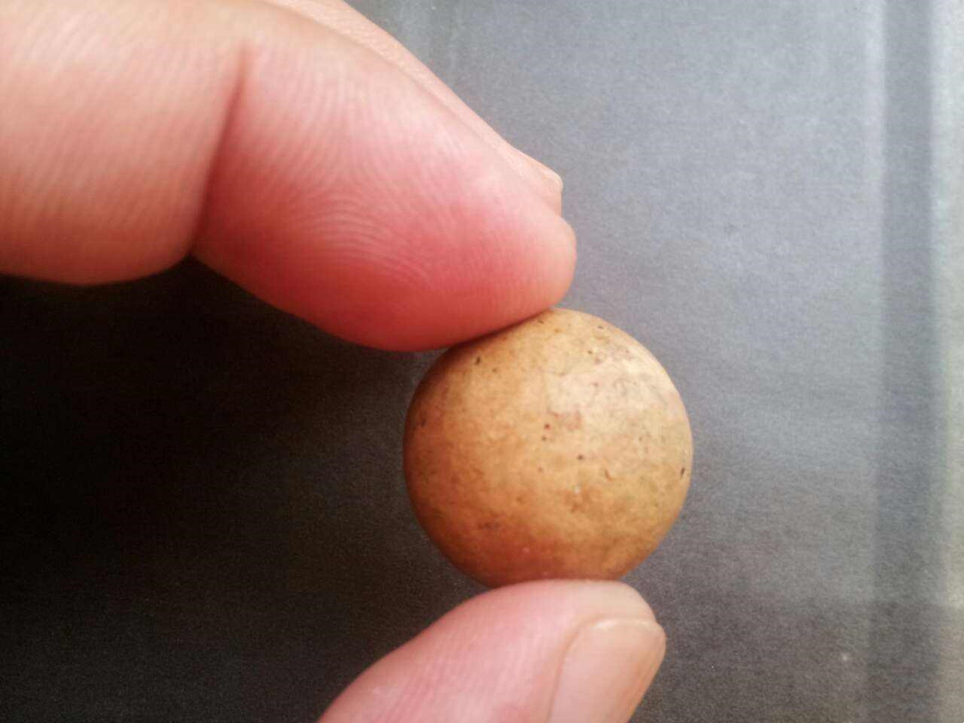 十年以上的土狗能卖多少钱,农村收的土狗卖去哪里了