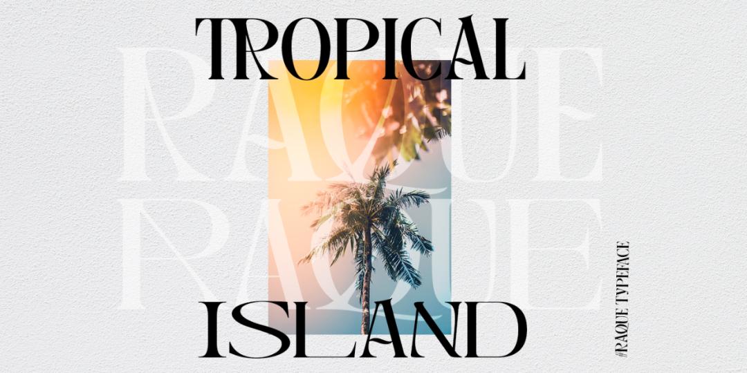 ttf纯英文好看字体,ttf英文字体