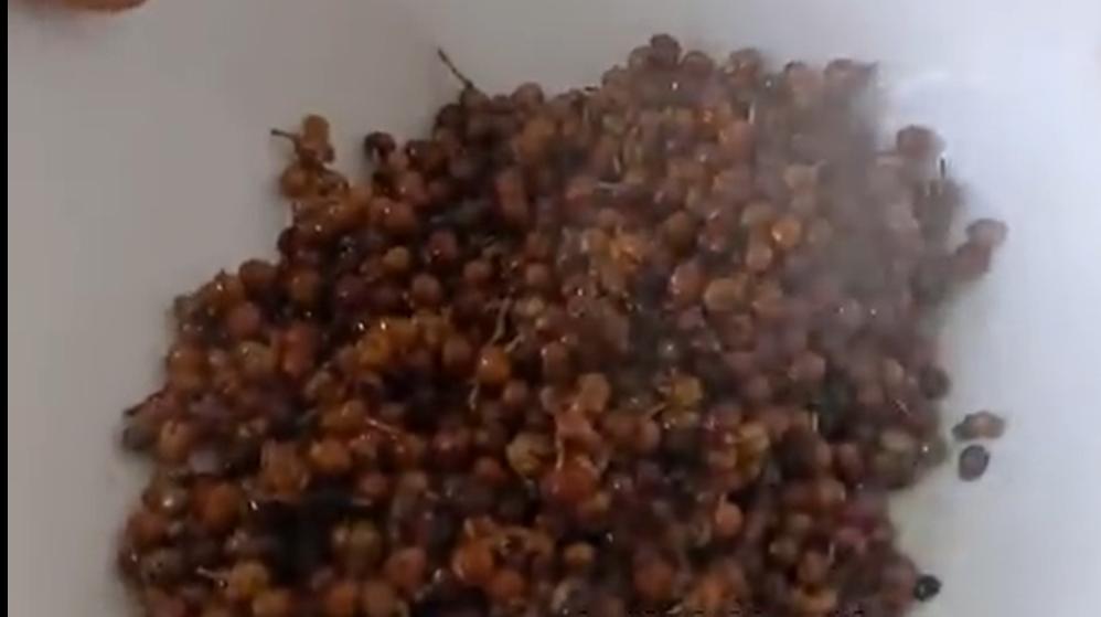 三菜品风味的起源花椒调味三剑客，花椒水、花椒面、花椒油（25）