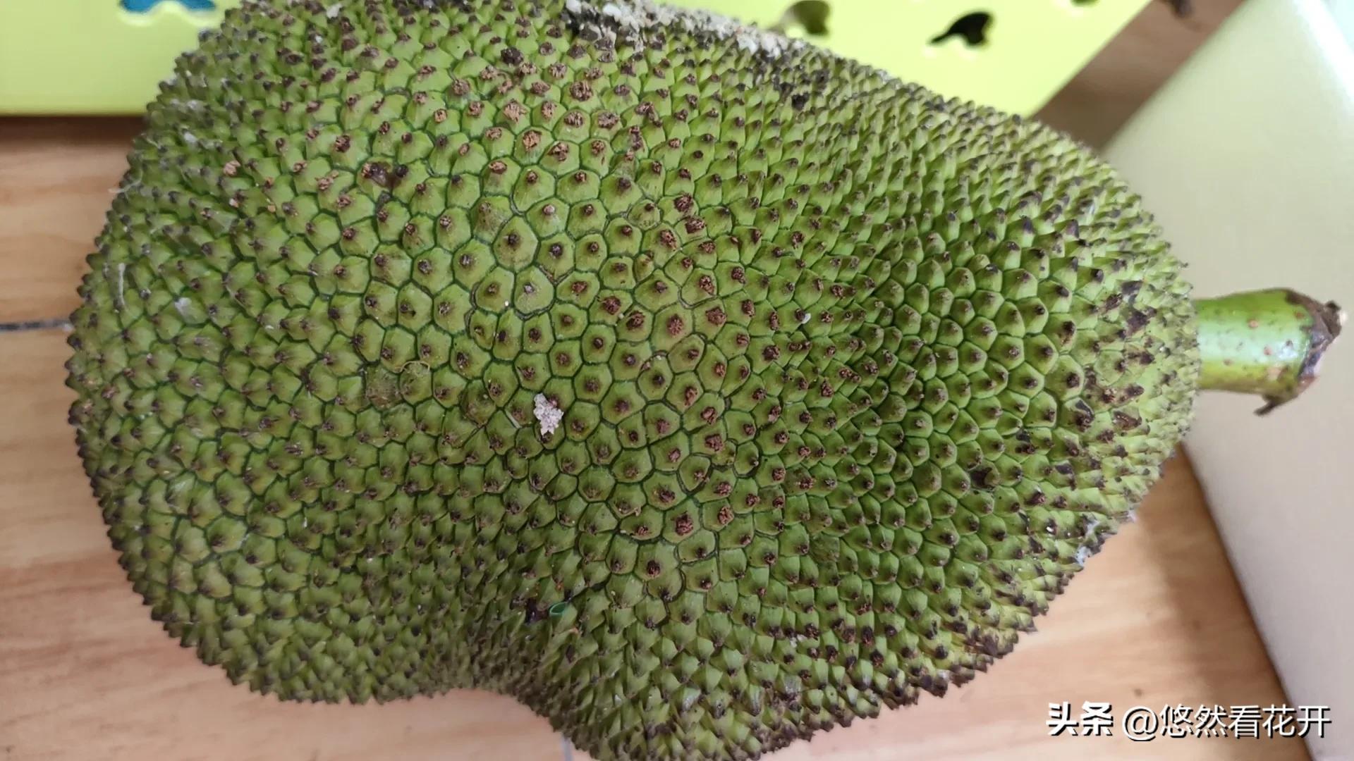 休养，抱妈妈抻着了腰！