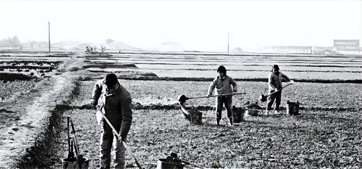 大邱庄禹作敏别墅现状：人去楼空，断垣残壁