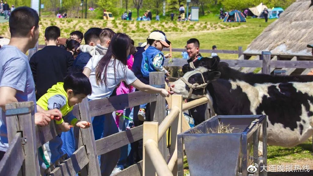 房子涨7倍,信用卡本金还了利息超本金7倍
