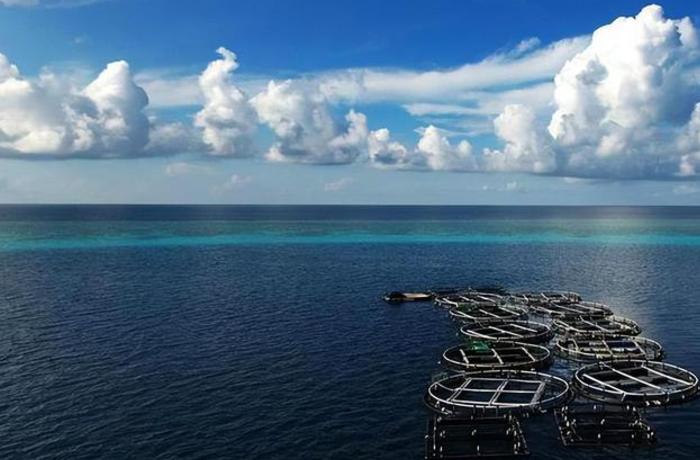 美济岛怎么成为南沙最大岛,南沙群岛美济岛