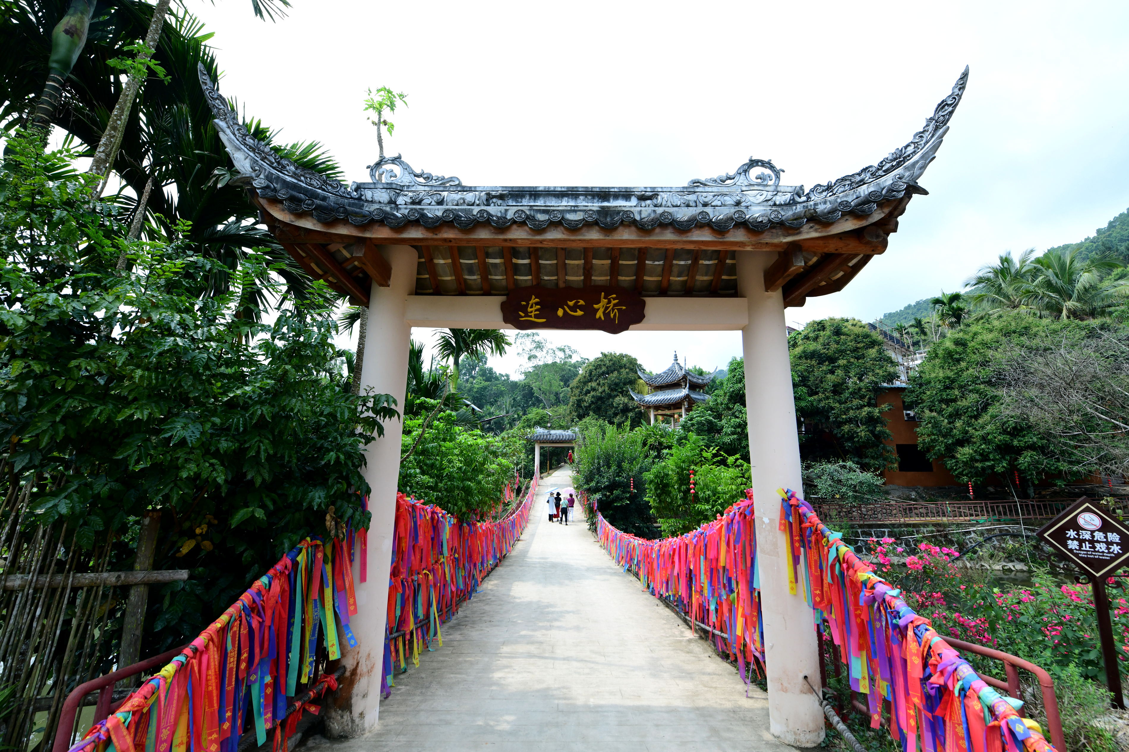 深山黎村奔“富”记：种“致富茶”、吃“旅游饭”，乡村振兴路越走越宽