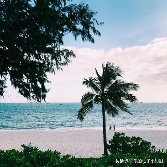 中国最美的十座海滨城市你都去过哪里,中国最美的十座海滨城市