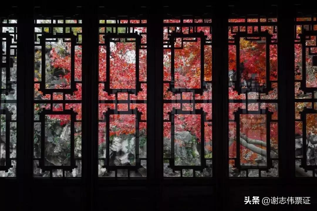 苏州古典园林各个景观特色,苏州园林风景美感极致