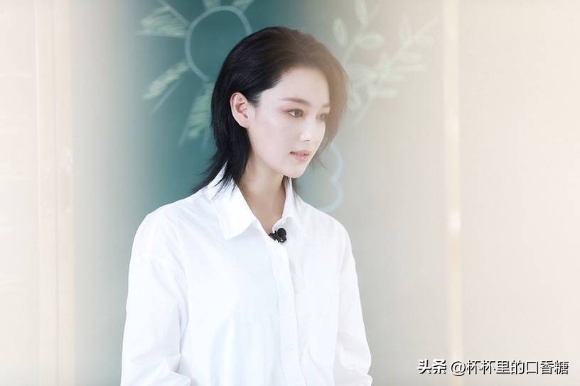 白鹿赵丽颖谁最受欢迎,被黑最惨的十个明星