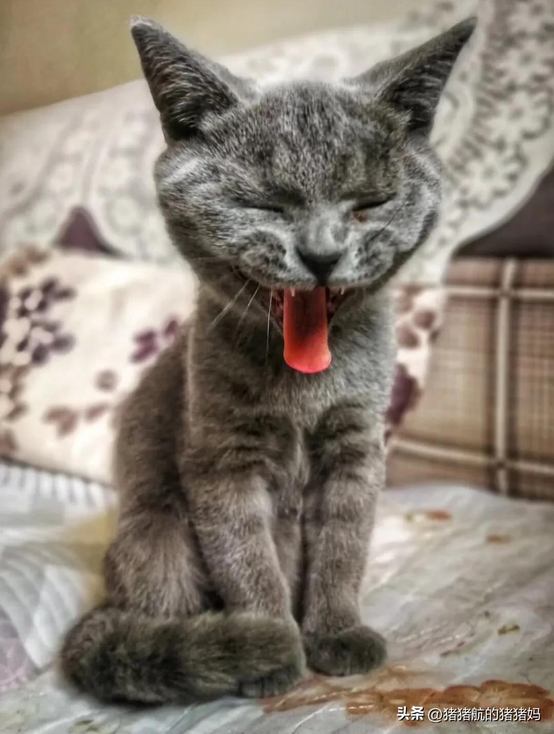 备产准备几个奶瓶,待产奶瓶准备哪些