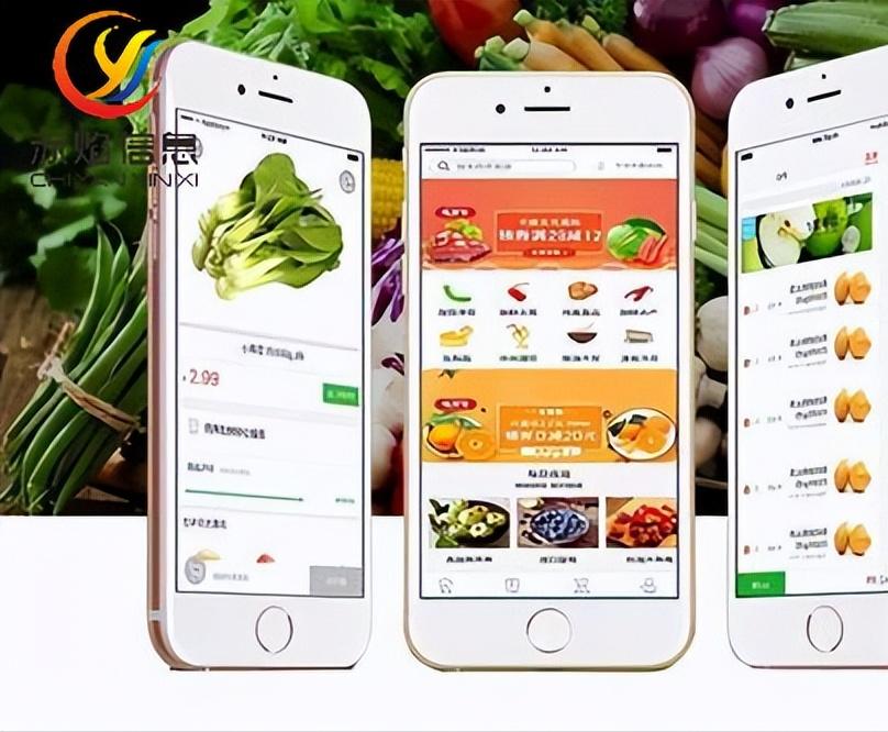 诸葛到家新家政模式,浏阳诸葛到家家政