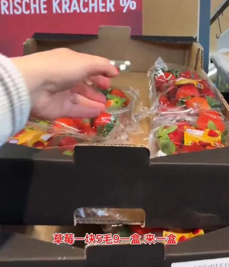 在德国一欧元能买什么,德国一小时工资能买什么