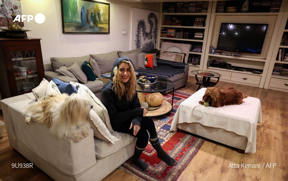 伊朗拟禁止民众养宠物,美国对于不规范养宠物的处罚