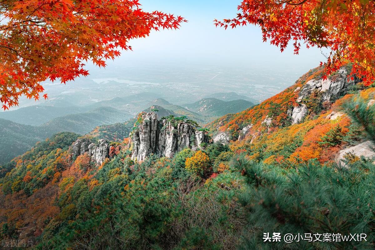 山东省出台最新行政区划调整方案,山东行政区划调整设想