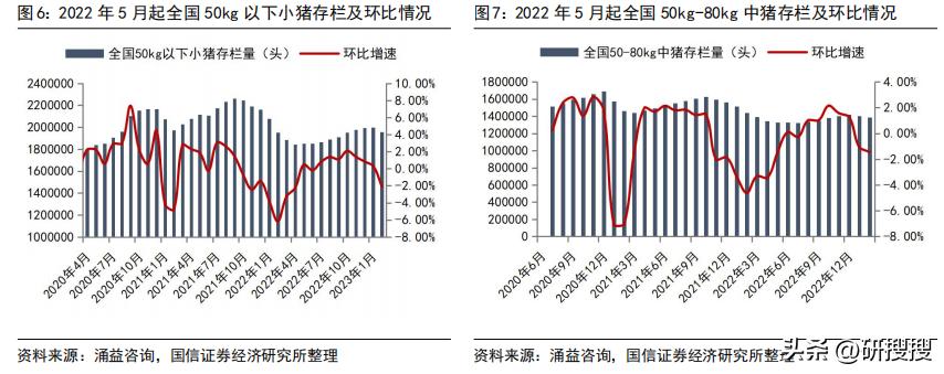 农林牧渔行业分析报告怎么写,农林牧渔行业发展趋势研究