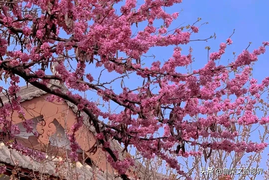 西安坐地铁旅游全攻略,西安半日游地铁