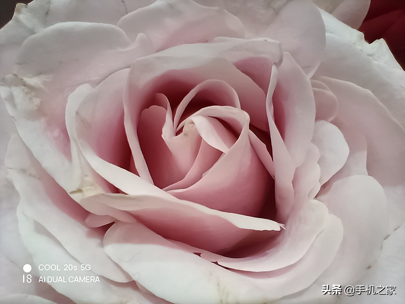 酷派COOL20s5G手机,酷派cool20s5g手机怎么样