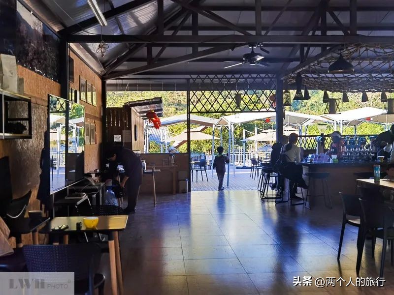 从普洱茶到古树茶的感悟,好喝普洱咖啡