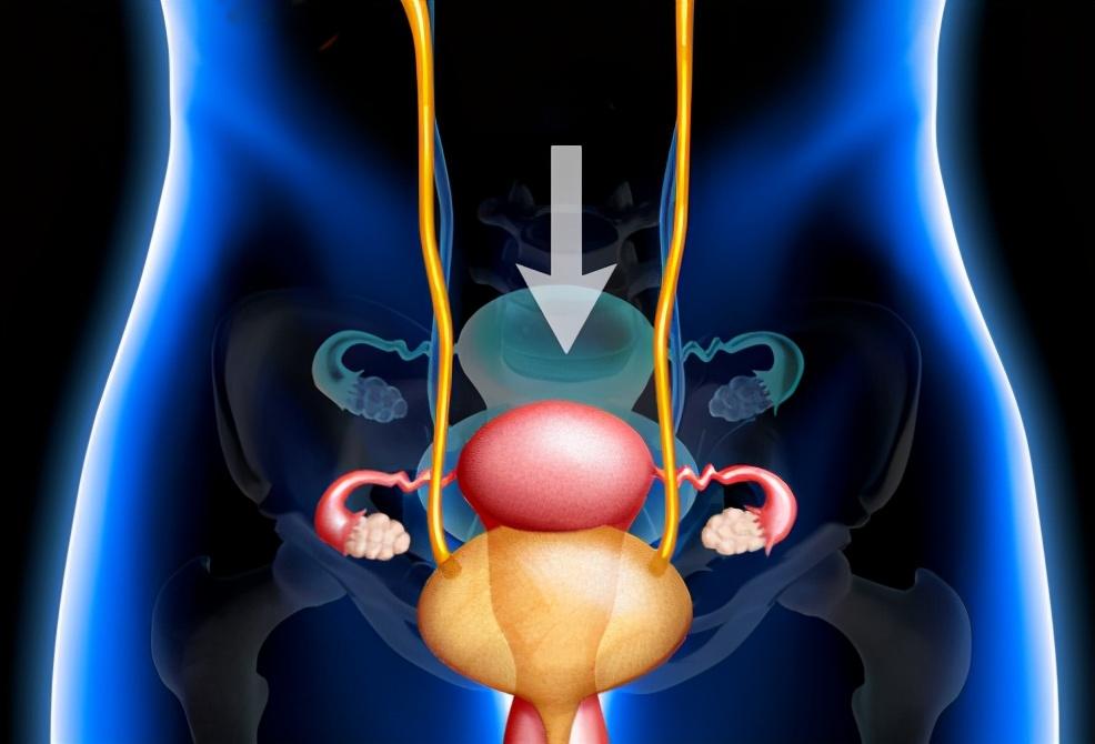 同房后，女性身体发热、发红？医生：这是性红晕！男女要早了解！