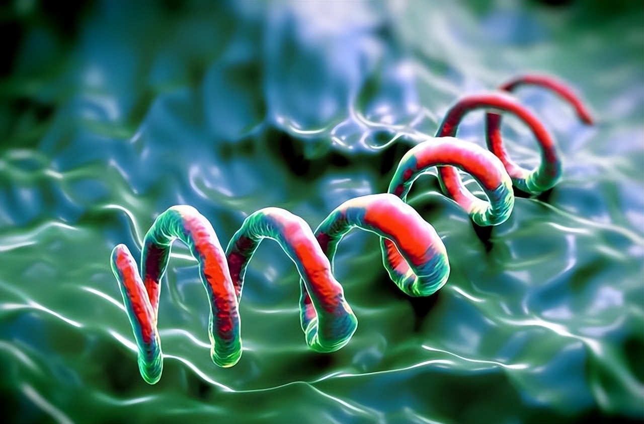 五种病,能通过“性传播”,你知道几个?医生劝告:别太放纵自己