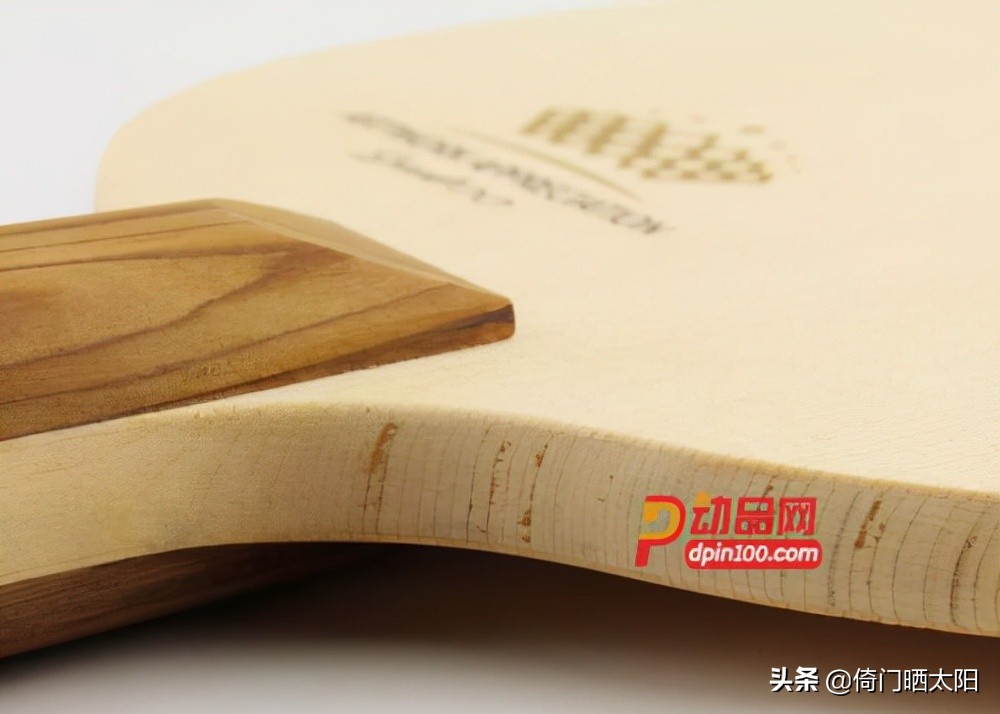 史上比较全的乒乓球底板知识 (乒乓球底板内置和外置的区别)