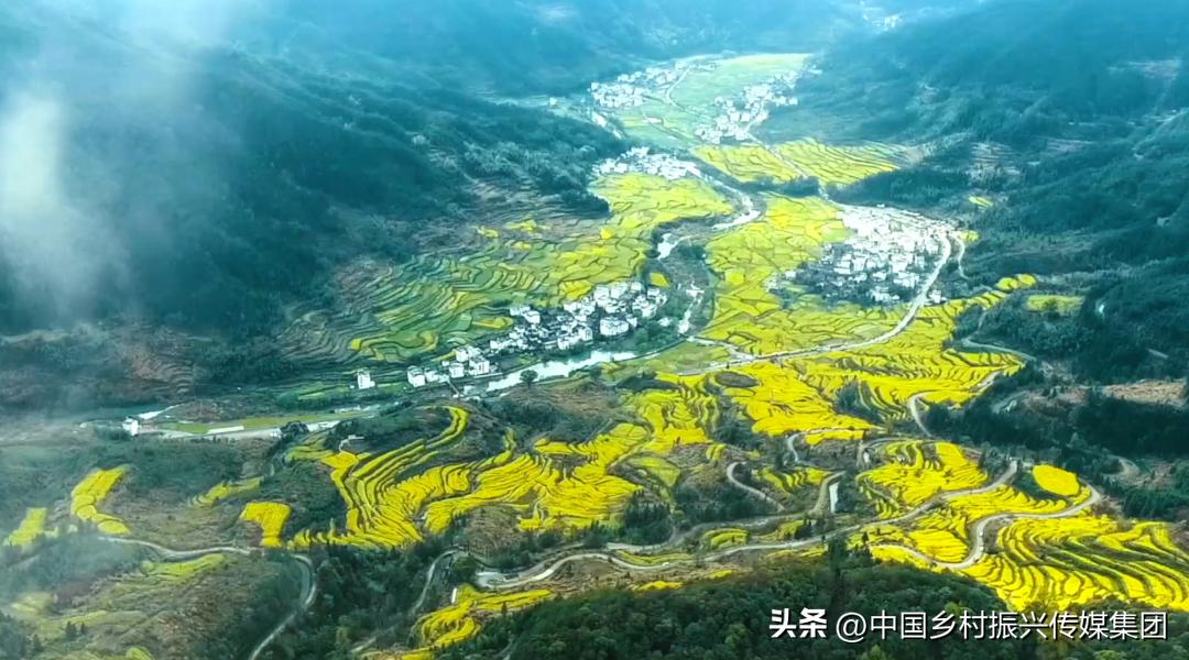 2022乡村振兴扶持项目方案,2023年乡村振兴项目补贴申报指南