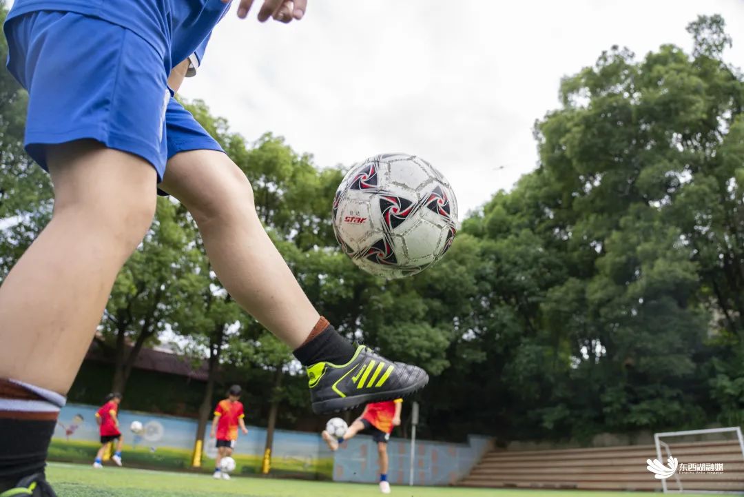 武汉市东西湖区比较好的学校,看东西湖有哪些好玩的地方