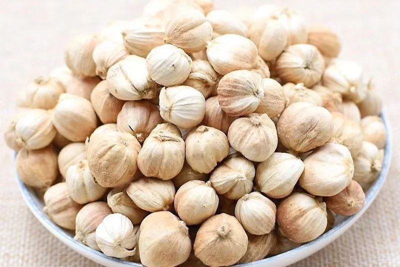 姜类香辛料都包含哪些种,12种必须了解的香料作用和用量